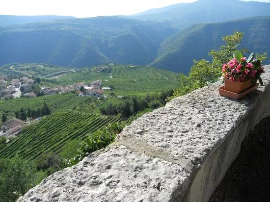 Pagus Wine Tours