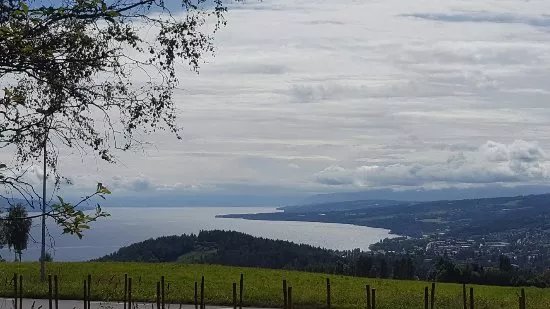 Eiktunet