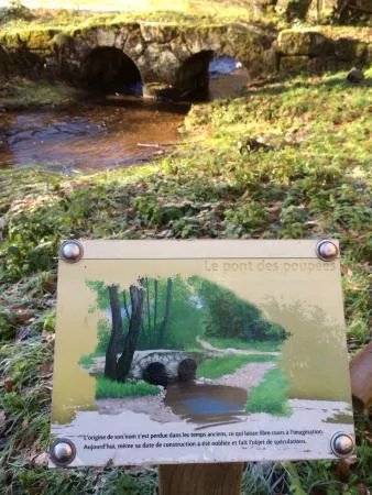 Sentier d’Interpretation de l’etang du Masvaudier