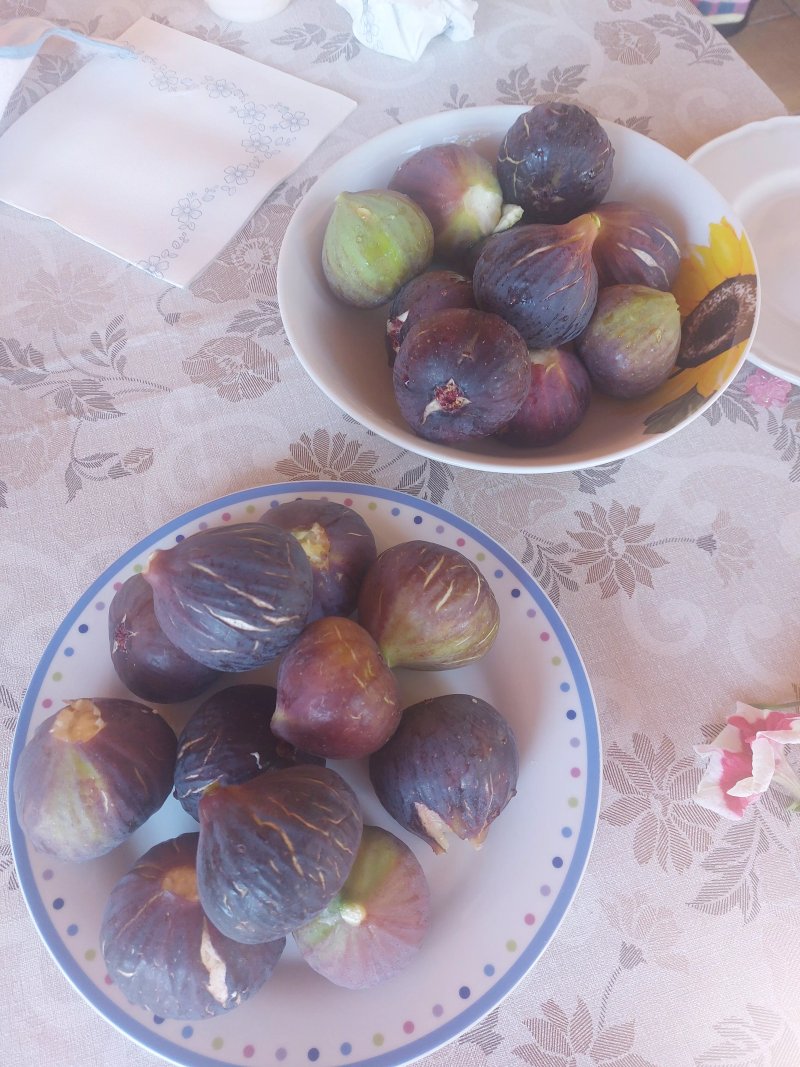 I Sapori Della Terra
