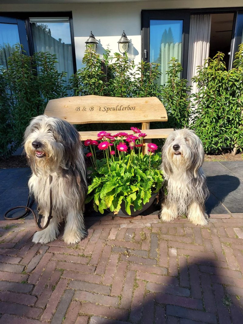 B&B 't Speulderbos
