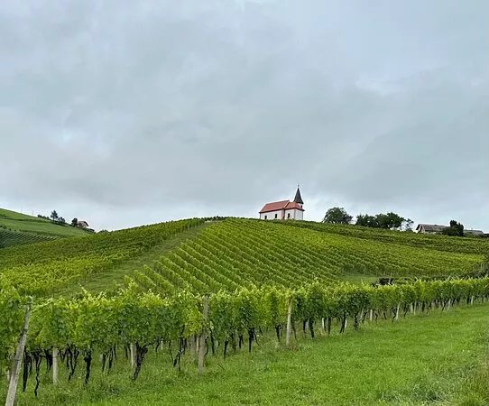 Vina Freser (Freser Vineyards)