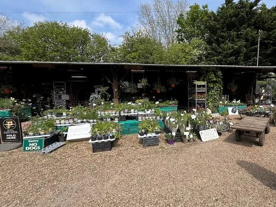 Hillfield Nursery & Farm Shop