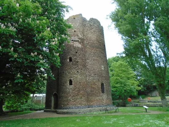 Cow Tower