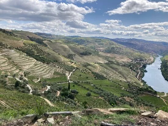 Visita e Prova a Quinta Privada no Douro