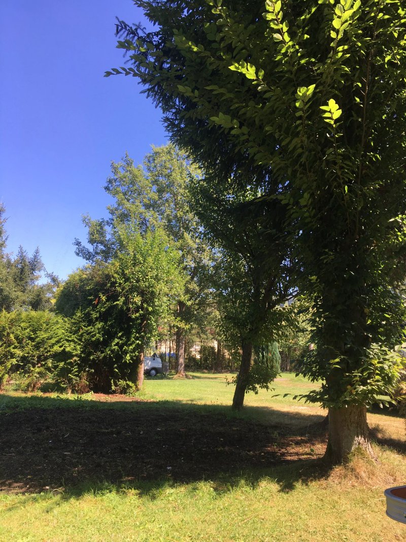 Campingplatz-Sinntal-Oberzell
