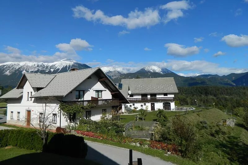 Sun terrace with a view, comfortable APARTMENT in nature - A1*** BioFit Bled