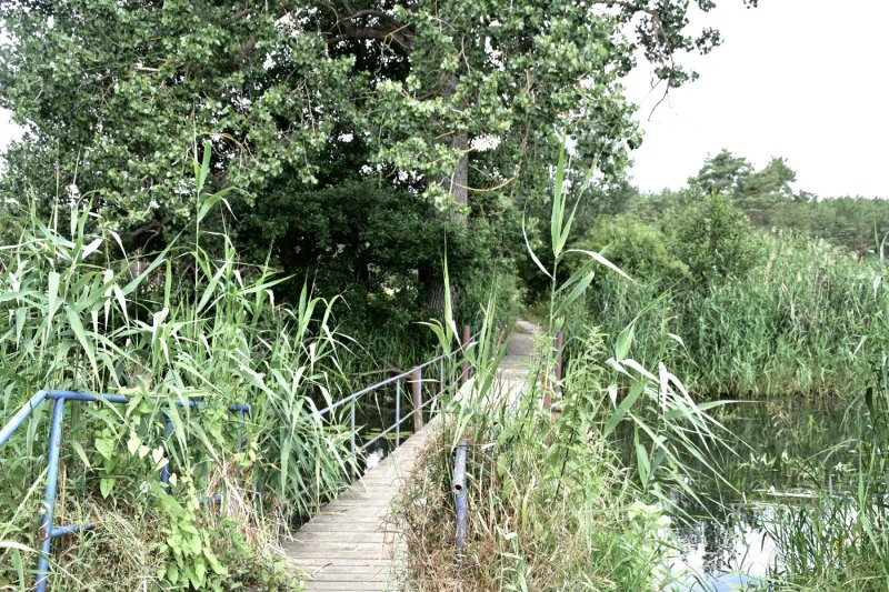 Pontonbrucke Uber Die Stremme