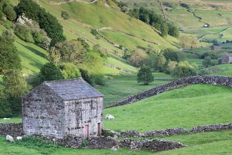 Picturesque Stone Cottage in heart of North Yorkshire Village - Dog Friendly