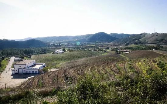 Algarve Wine Tours