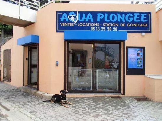 Aqua Plongee