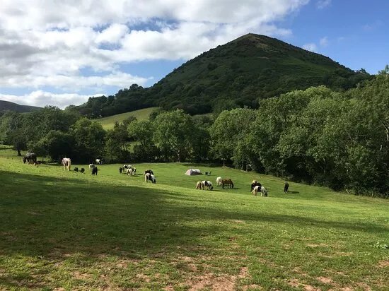Grange Pony Trekking, Abergavenny