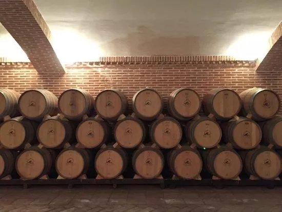The Madrid Wine Experience