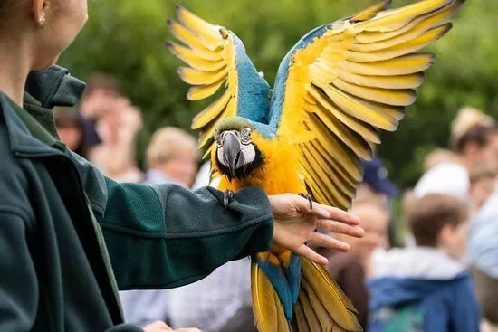 Willows Bird of Prey & Wildlife Trail