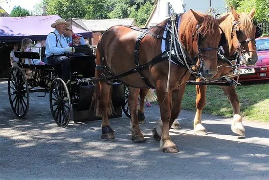 Middle Week Horse Drawn Farm
