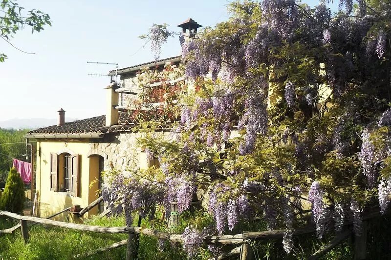 Cottage between Countryside and Sea in Liguria CIN: IT011031C2QZERYP5A