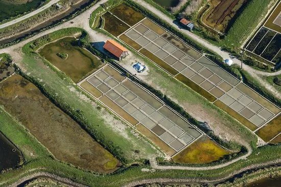 Les Marais Salants de la Vie