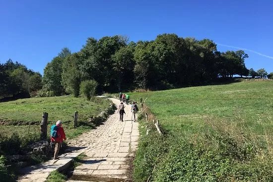 UWalk