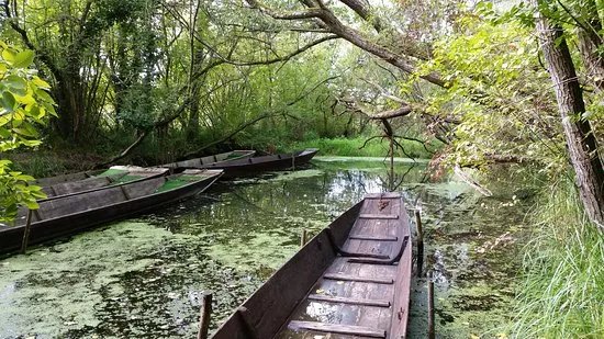 Bootsfahrten im Taubergiessen