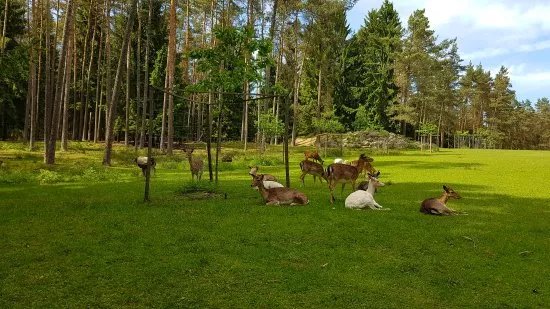 Wildgehege Hufeisen