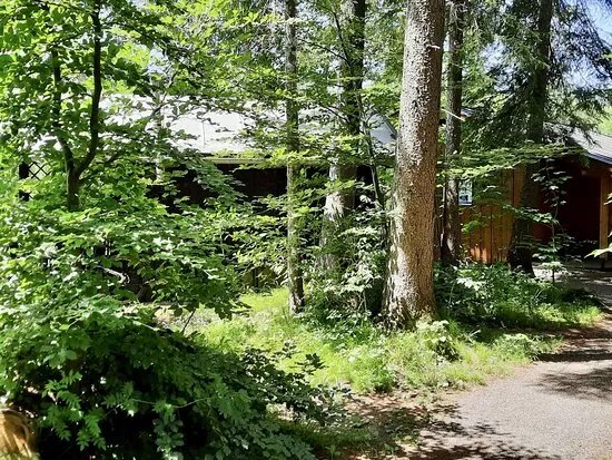 Auwaldsee