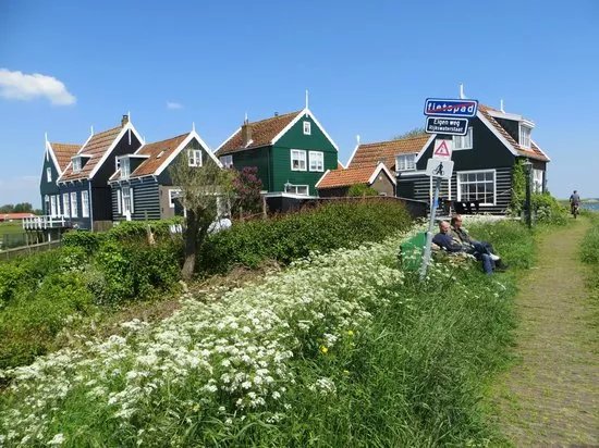 Wheely Dutch Bike Tours - Day Tours