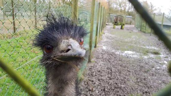 Water Fowl Sanctuary and Children's Farm