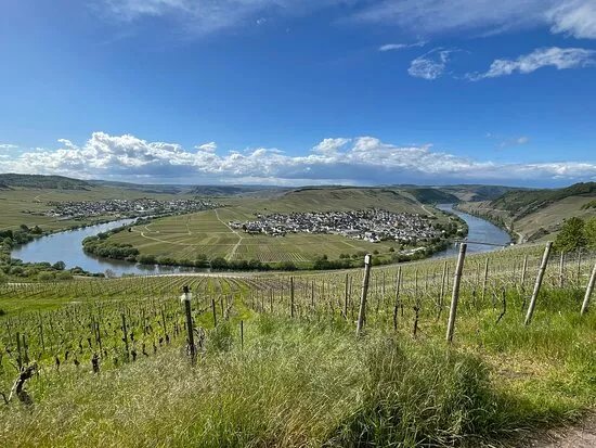 Rundwanderweg Trittenheim zur Zummethohe Leiwen