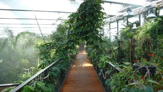 Biosphare Potsdam
