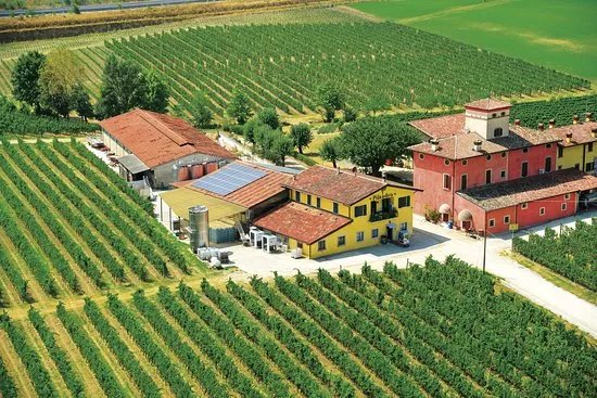 Azienda Agricola Pilandro