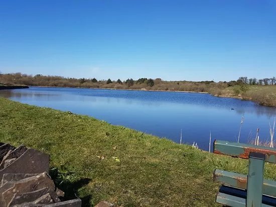 Beaufort Hill Ponds And Woodlands