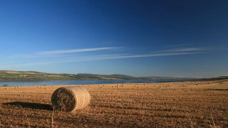 Firth Cottage - stunning views in a peaceful but convenient location