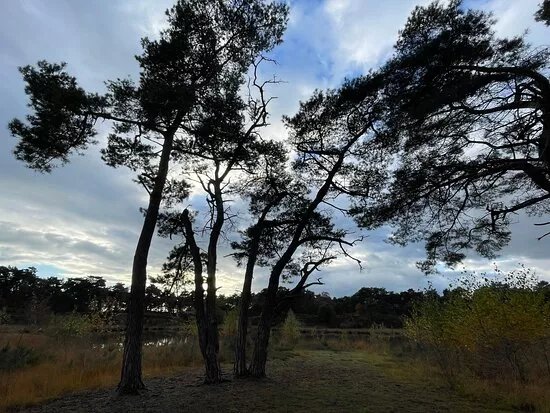 Hatertse En Overasseltse Vennen