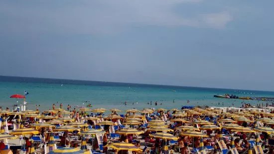Lido dei Pini