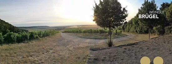 Weingut Brugel