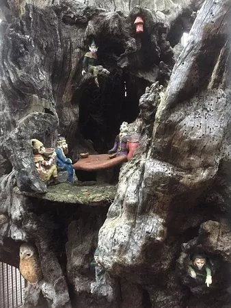 Elfin Oak