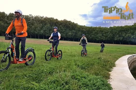 TRIP IN TROTT
