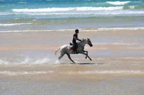 Centre Equestre Marina - Private Day Tours