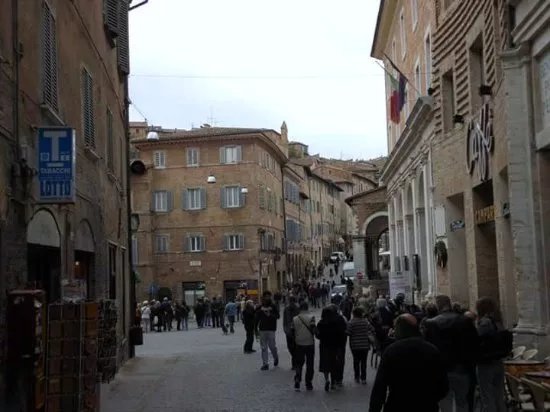IAT Urbino Center
