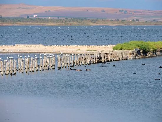 Pomorie Lake