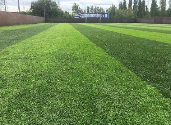 Goals Wimbledon