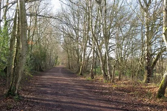 Demesne Mill Picnic Area