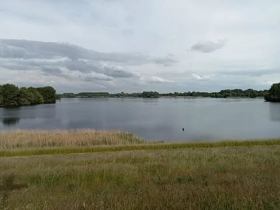 Brielse Meer
