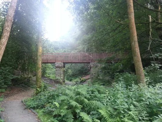 Eastwood RSPB Reserve