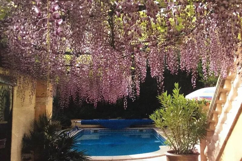 HEART OF BEAUTIFUL MARSEILLAN VILLE LIVE THE DREAM IN IDYLLIC  VIGNERON