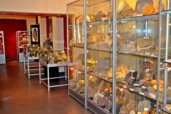 Collection of Minerals and Fossils of Olkusz and the Polsih Jura
