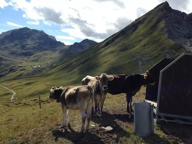 Family Chalet in a Breathtaking Setting in Klosters w Fireplace & Internet