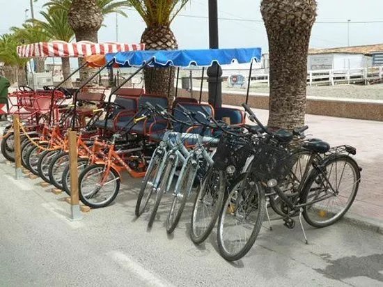 Bay Bike Hire