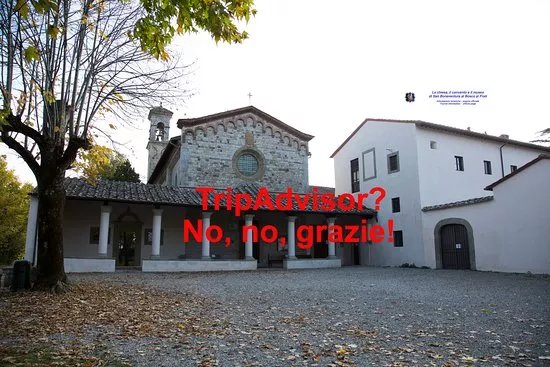 Bosco ai Frati