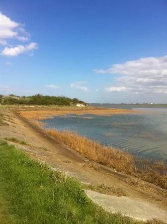 Riverside Country Park